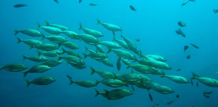 Marja den Uil winnares aan de vijver bij van Wijngaarden in Sliedrecht.