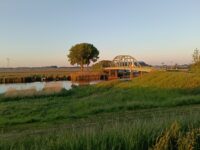 Grondel walhalla aan de oude Maas in Sprang-Capelle