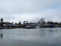 Wantij leverde veel gewicht aan vis op