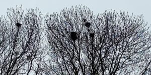 Winnaar aan het Merwedekanaal