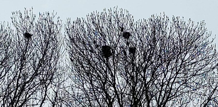 Winnaar aan het Merwedekanaal