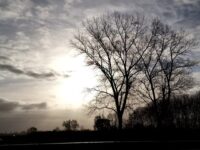 Jan de Heer winnaar met een brasem