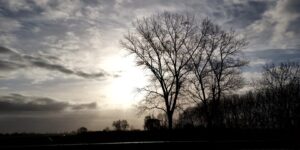 Jan de Heer winnaar met een brasem