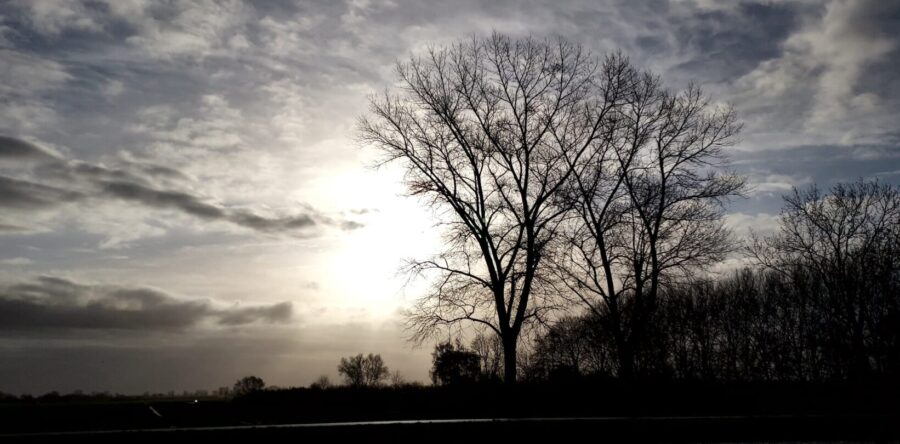 Jan de Heer winnaar met een brasem
