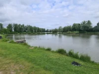 Karperwedstrijd in Gendt